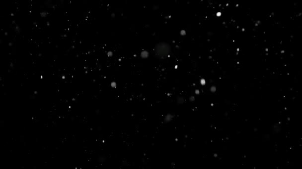 Nieve blanca cayendo sobre fondo negro aislado — Vídeos de Stock