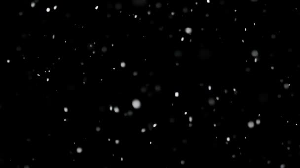 White Snow Falling na odizolowanym czarnym tle — Wideo stockowe