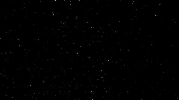 White Snow Falling on Isolated Black Background — Stock Video