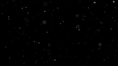 İzole edilmiş Kara Arkaplan 'a Beyaz Kar Düşüşü, Uçan Kar Taneleri' nin Çekimi Bokeh, Toz Parçacıkları veya Havadaki Toz. Tatil Kaplama Efekti