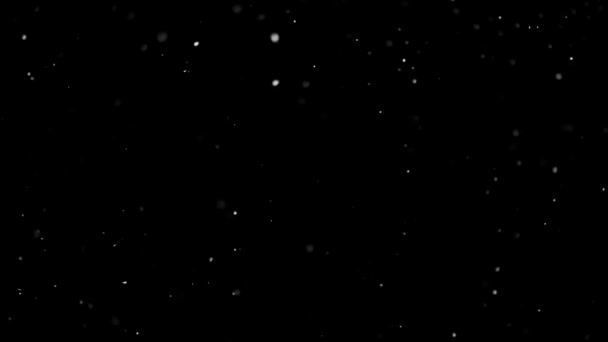 Білий сніг падає на ізольований чорний фон — стокове відео
