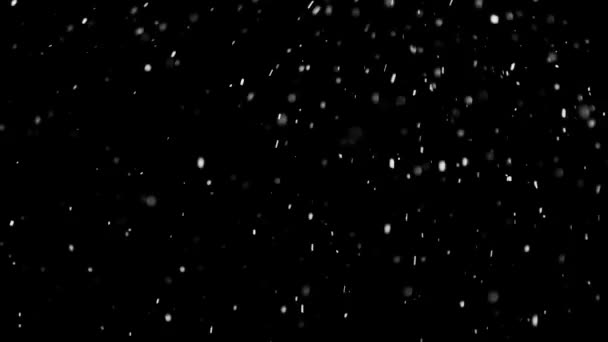 White Snow Falling na odizolowanym czarnym tle — Wideo stockowe