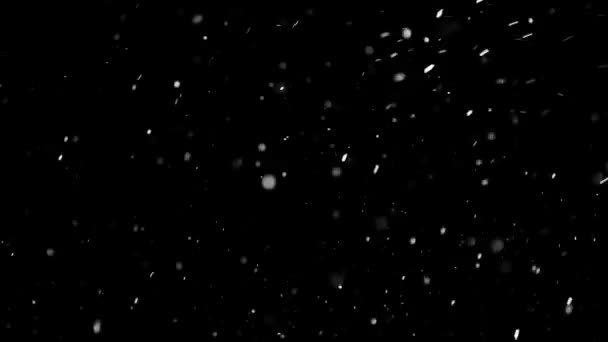 Bílý sníh padající na izolované černé pozadí — Stock video