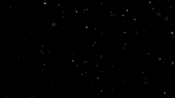 Nieve blanca cayendo sobre fondo negro aislado — Vídeo de stock
