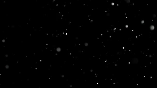 Bílý sníh padající na izolované černé pozadí — Stock video