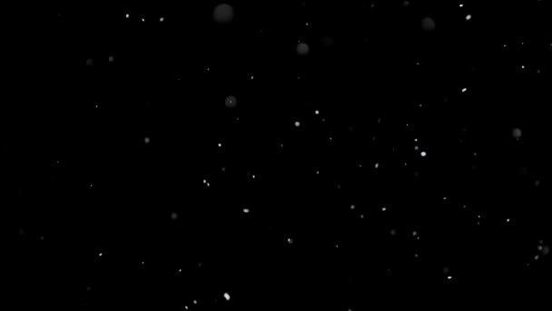 White Snow Falling on Isolated Black Background — Stock Video