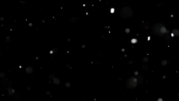 Weißer Schnee fällt auf isoliertem schwarzen Hintergrund — Stockvideo