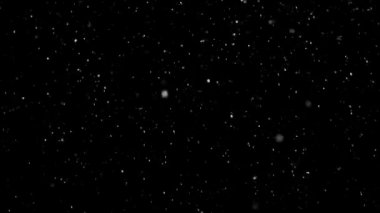 İzole edilmiş Kara Arkaplan 'a Beyaz Kar Düşüşü, Uçan Kar Taneleri' nin Çekimi Bokeh, Toz Parçacıkları veya Havadaki Toz. Tatil Kaplama Efekti