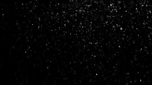 Witte sneeuw vallen op geïsoleerde zwarte achtergrond — Stockvideo