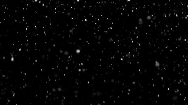 White Snow Falling on Isolated Black Background — Stock Video