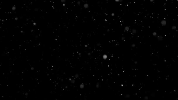 Weißer Schnee fällt auf isoliertem schwarzen Hintergrund — Stockvideo