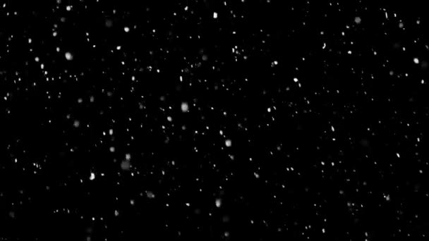白雪落在孤立的黑色背景上 — 图库视频影像