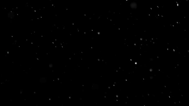 White Snow Falling on Isolated Black Background — Stock Video