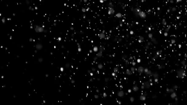 Білий сніг падає на ізольований чорний фон — стокове відео