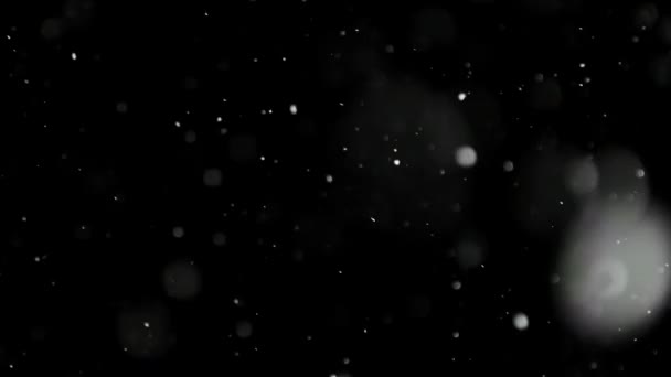 İzole edilmiş Siyah Arkaplana Beyaz Kar Düşüyor — Stok video