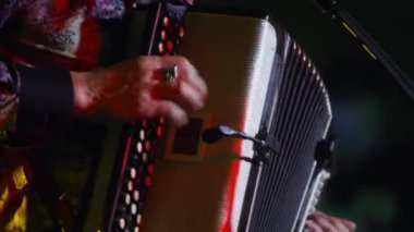Ukraynalı vokalist ve gitarist oluşturan Skrypka