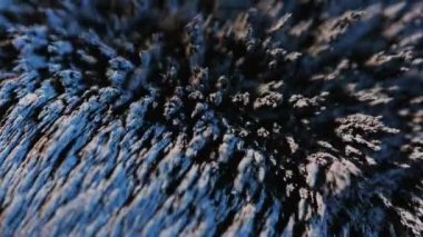 Ferro arka plan öğeleri