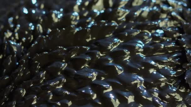 Ferrofluid tła elementów — Wideo stockowe