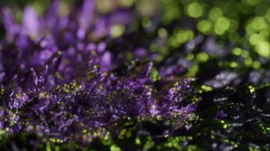 Ferro arka plan öğeleri