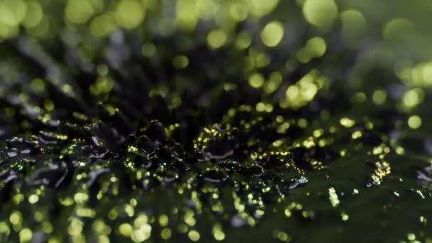 Ferrofluid Background Elements — Stock Video
