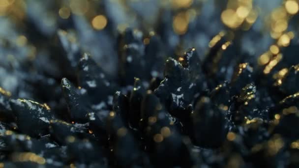 Ferrofluid achtergrondelementen — Stockvideo