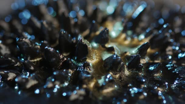 Ferrofluid bakgrundselement — Stockvideo