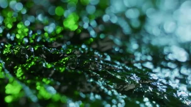 Elementos de fundo Ferrofluid — Vídeo de Stock