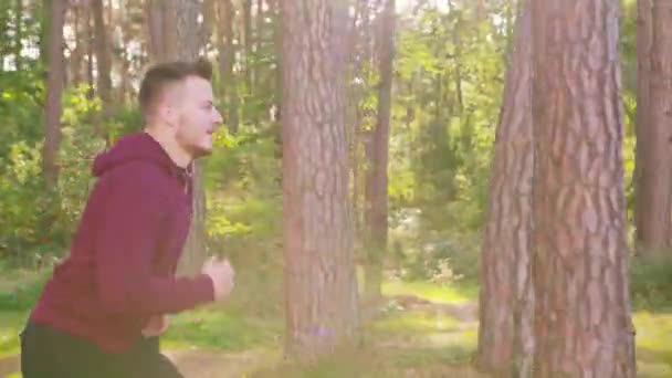 Junger Mann läuft im Wald — Stockvideo