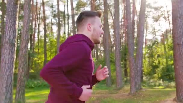 Jonge man loopt in het forest — Stockvideo