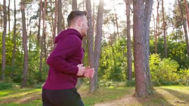 Joven corriendo en el bosque — Vídeo de stock