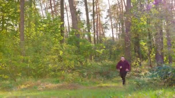 Jonge man loopt in het forest — Stockvideo
