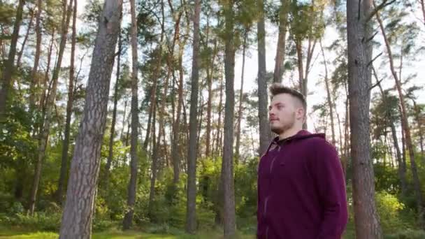 Junger Mann geht im Wald spazieren — Stockvideo