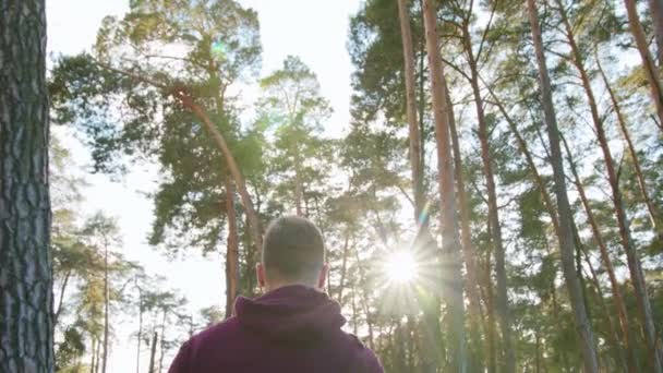 Jovem caminhando na floresta — Vídeo de Stock