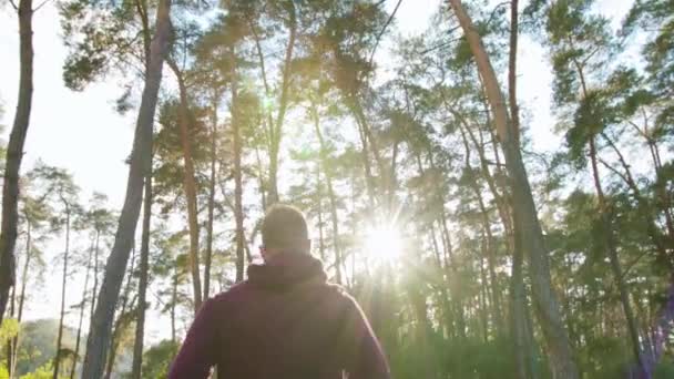 Joven corriendo en el bosque — Vídeo de stock