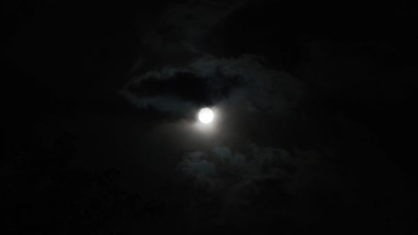 Un plan en temps réel de la lune et des nuages la nuit — Video