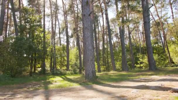 Junge Frau mit rosa Haaren joggt im Wald — Stockvideo