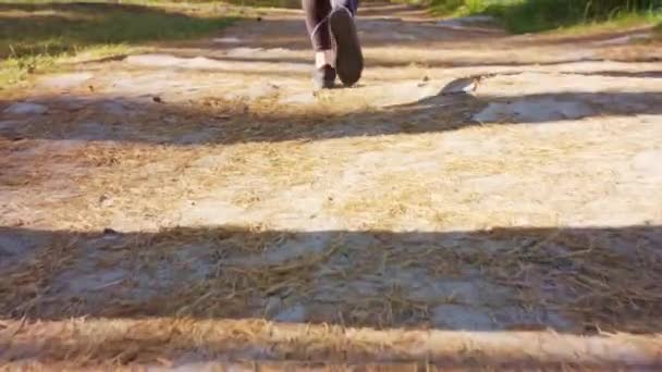 Unga kvinnans fötter springer i skogen — Stockvideo