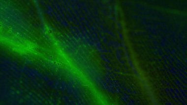 Makro deri, hangi kıvrımları göre boya akan