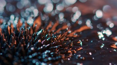 Ferro arka plan öğeleri