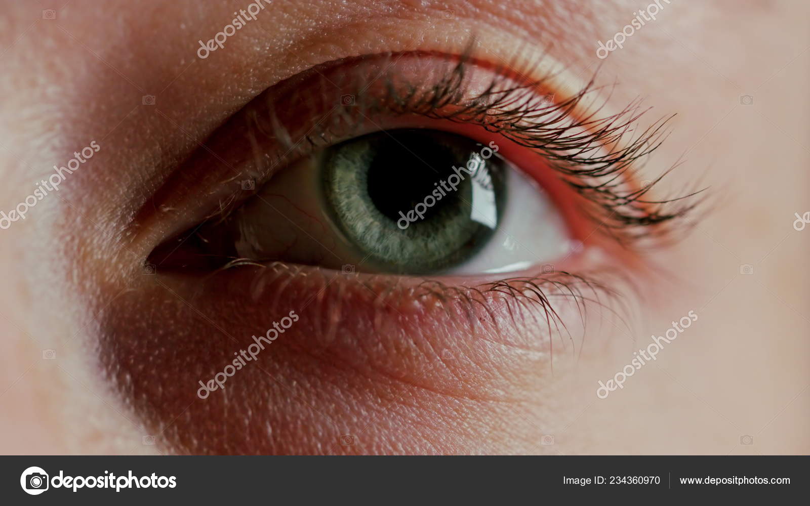 Close Up Beautiful Blue Eye Stock Photo C Mputsylo 234360970