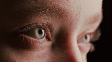 Yakın çekim güzel mavi göz