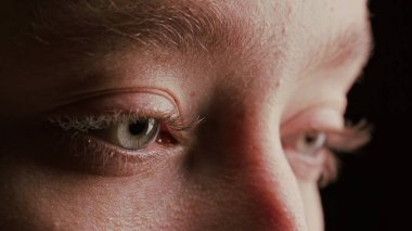 Yakın çekim güzel mavi göz