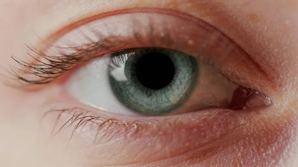 Közeli gyönyörű kék szem — Stock Fotó