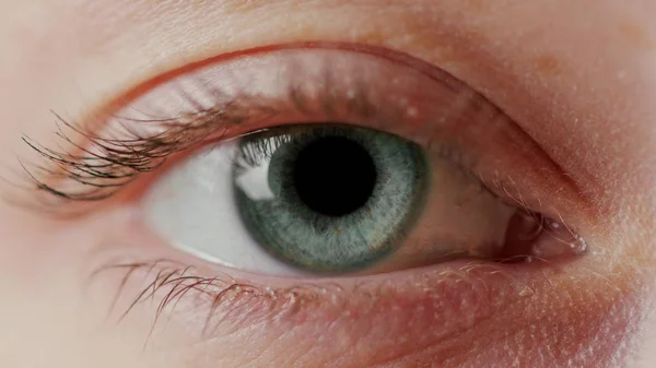Close-up Olho azul bonito — Fotografia de Stock
