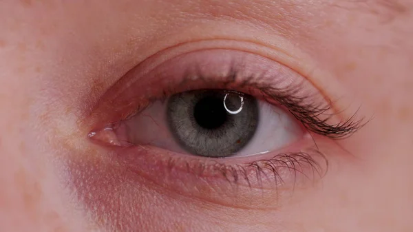 Close-up Olho azul bonito — Fotografia de Stock