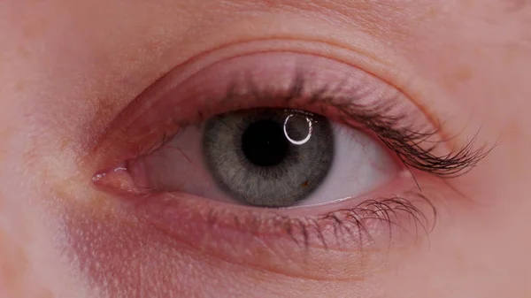 Close-up van de mooie blauwe ogen — Stockfoto