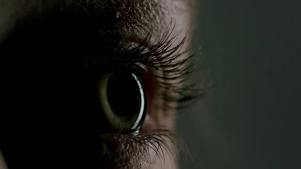 Close-up Beautiful Blue Eye — Stock Image Close-up Beautiful Blue Eye Stock Photo
