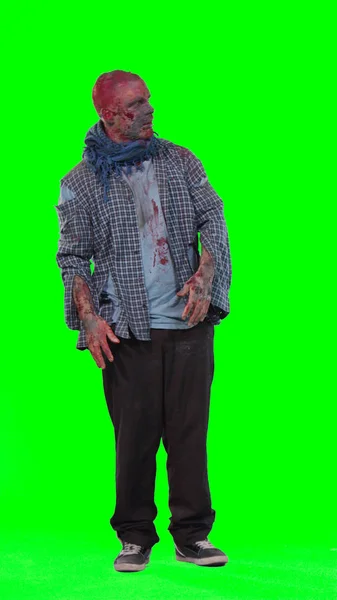 Félelmetes zombi a halloween elszigetelt zöld háttér — Stock Fotó