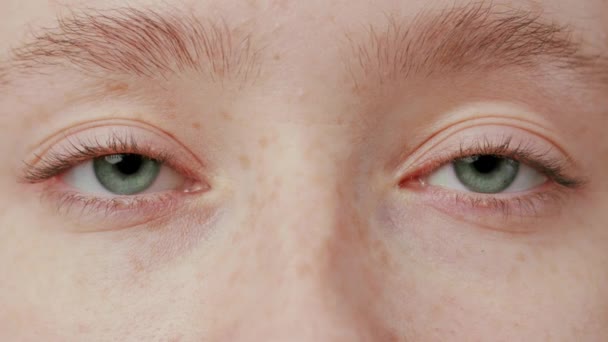 Wirydarz-do góry piękny niebieski oko — Wideo stockowe