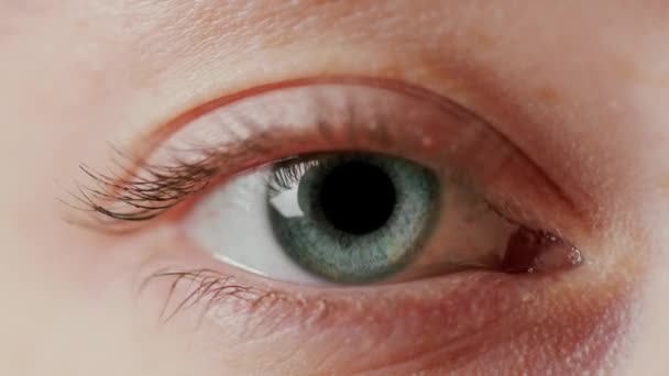 Närbild vackra blå ögon — Stockvideo